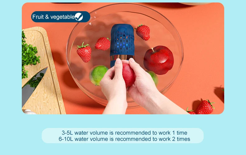 VegiSafe: Household Vegetable and Fruit Cleaner and Pesticide Disinfectant Machine