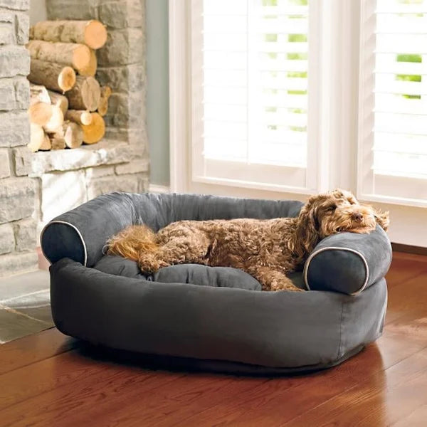 Therapeutic Beds for Your Pet's Sleep: