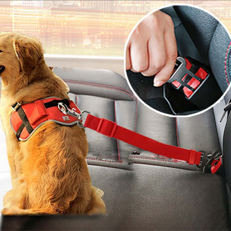 "SafePaws Premium Dog Seat Belt"