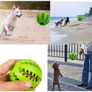 "DentaPlay Dental Ball for Dogs