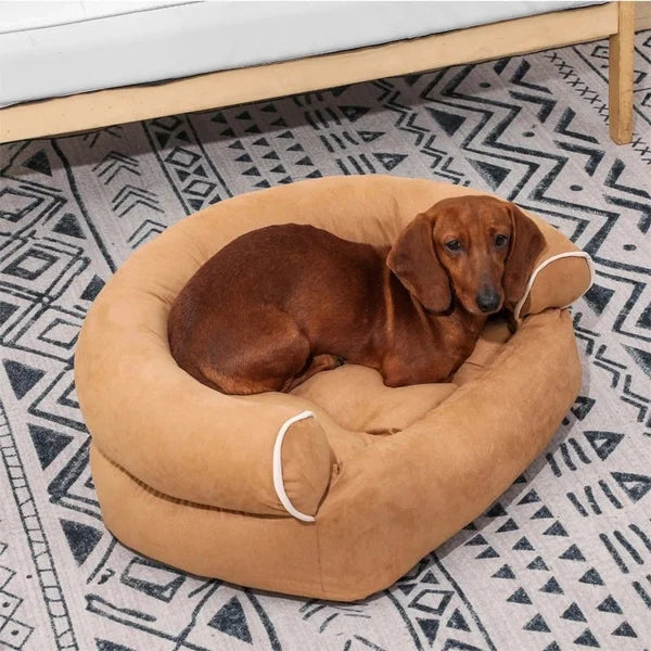 Therapeutic Beds for Your Pet's Sleep: