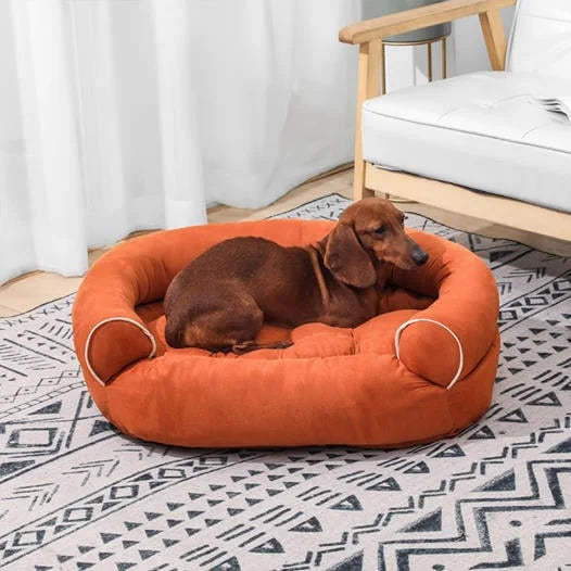 Therapeutic Beds for Your Pet's Sleep: