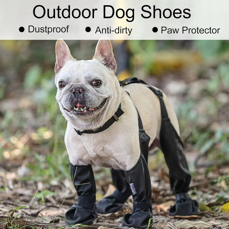 Leggings  to protect your  pet dog!!