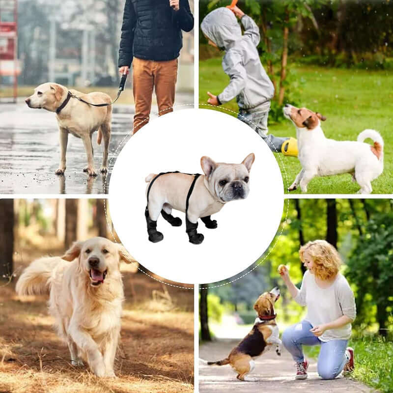 Leggings  to protect your  pet dog!!