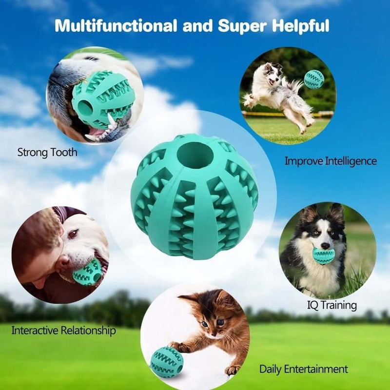 "DentaPlay Dental Ball for Dogs